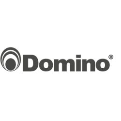 Domino
